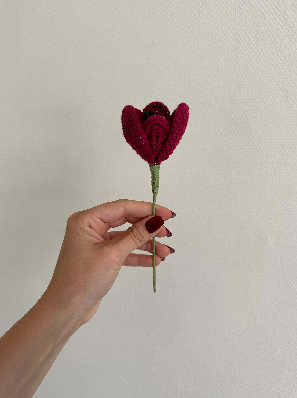 les tulipes