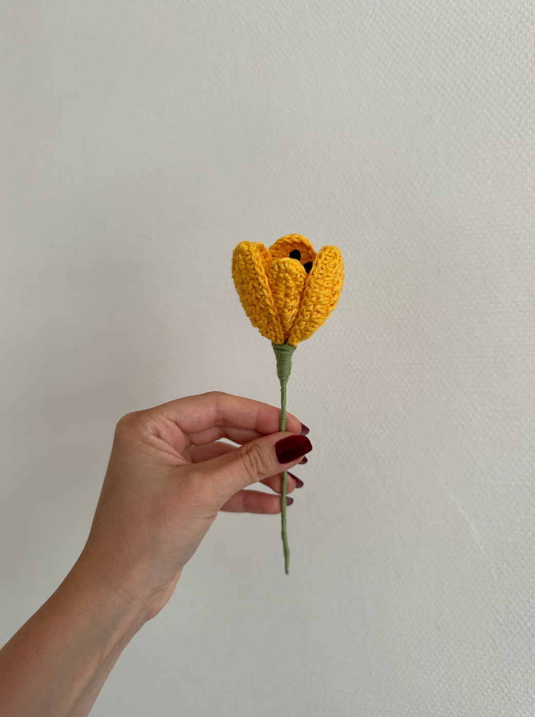 les tulipes