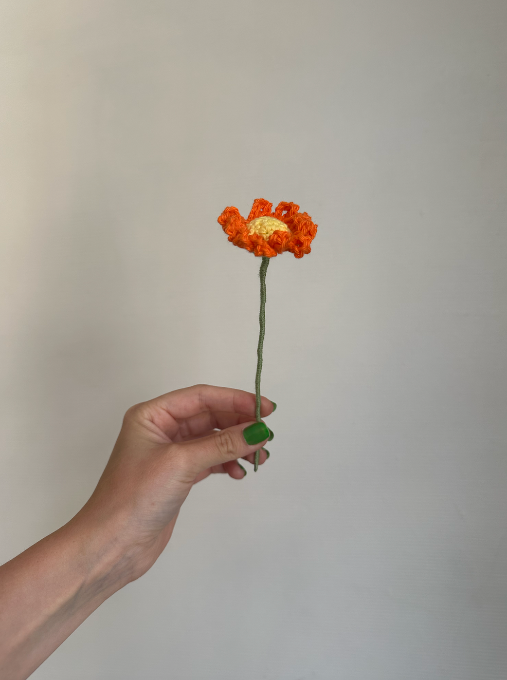 les marguerites