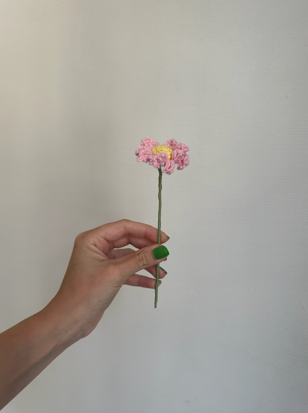 les marguerites