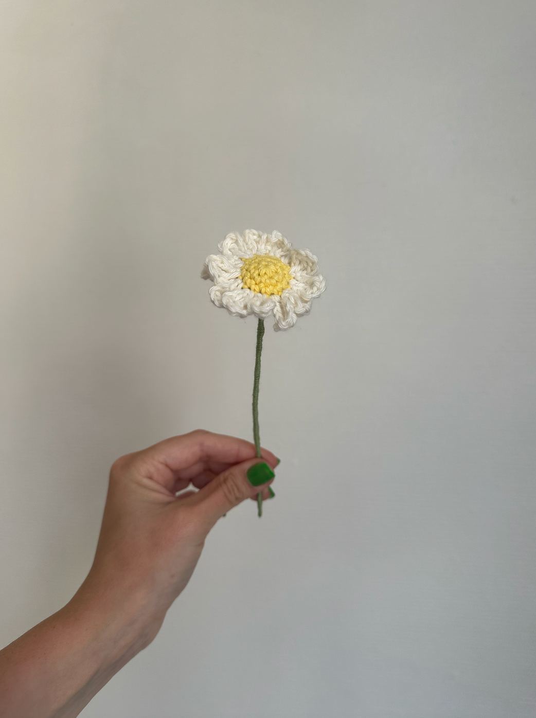 les marguerites