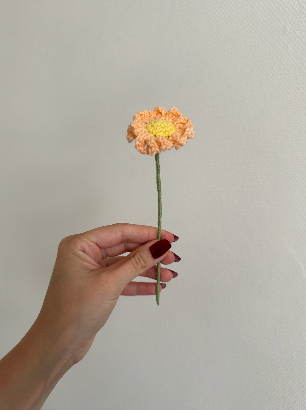 les marguerites