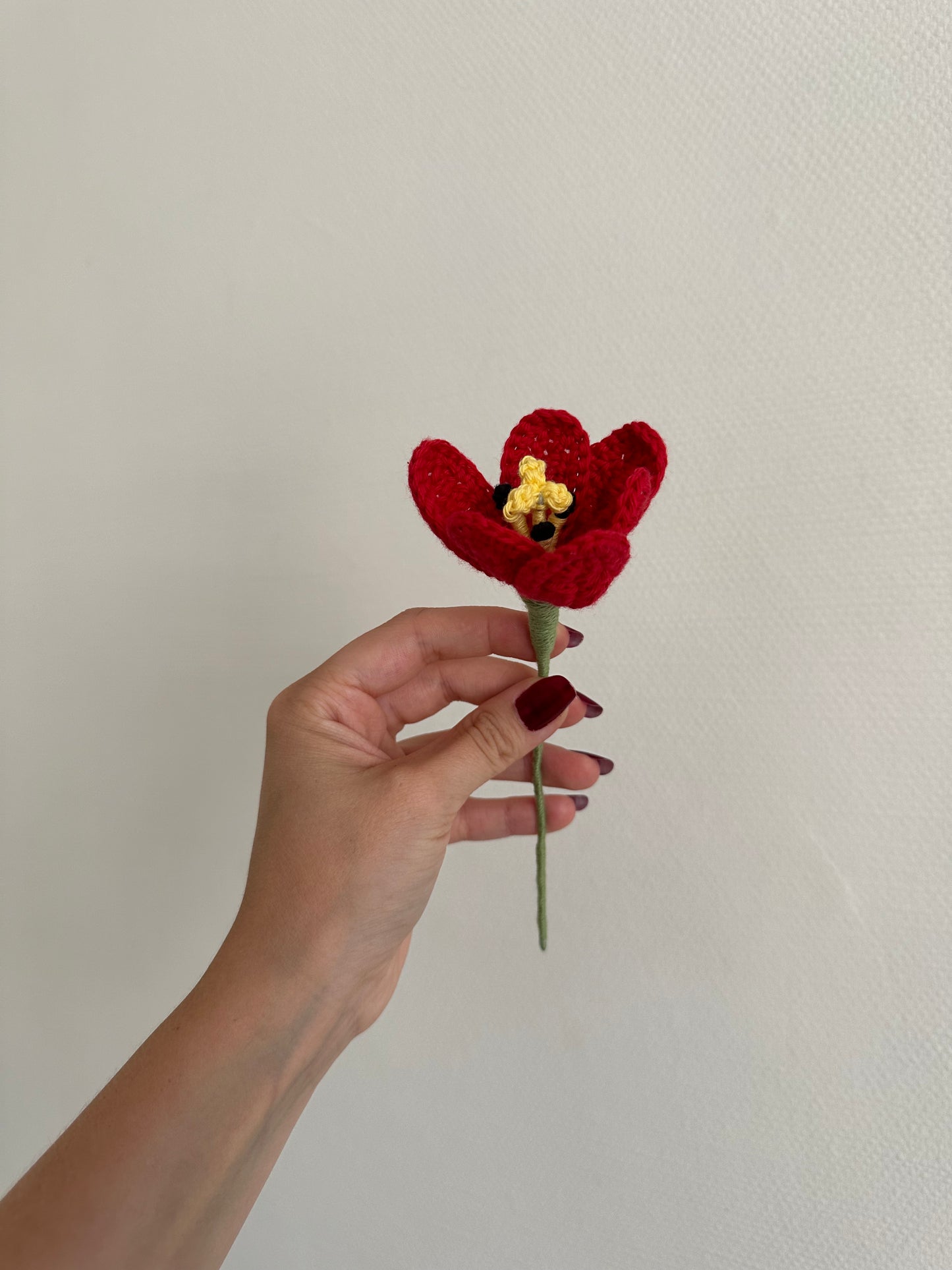 les tulipes
