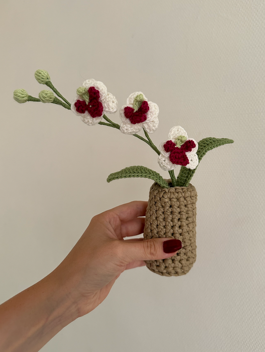 les orchidées