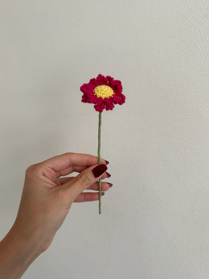 les marguerites