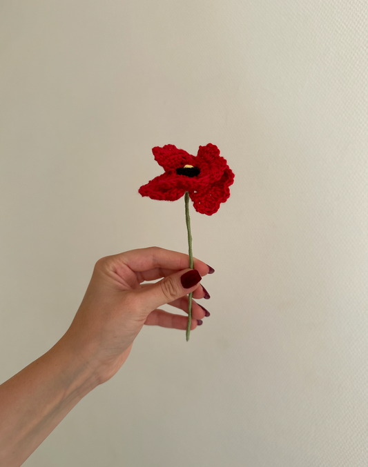 les coquelicots