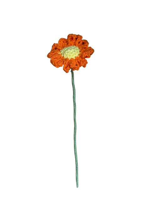 les marguerites